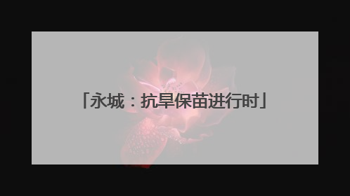 永城：抗旱保苗进行时