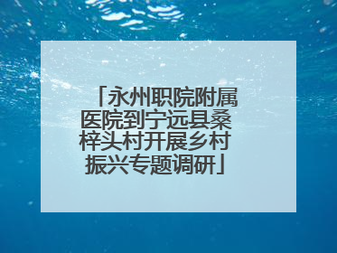 永州职院附属医院到宁远县桑梓头村开展乡村振兴专题调研