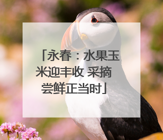 永春：水果玉米迎丰收 采摘尝鲜正当时