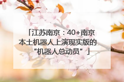 江苏南京：40+南京本土机器人上演现实版的“机器人总动员”