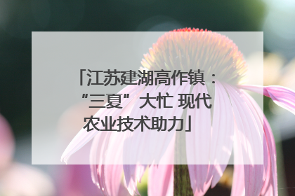 江苏建湖高作镇：“三夏”大忙 现代农业技术助力