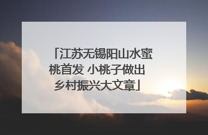 江苏无锡阳山水蜜桃首发 小桃子做出乡村振兴大文章