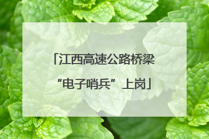 江西高速公路桥梁“电子哨兵”上岗