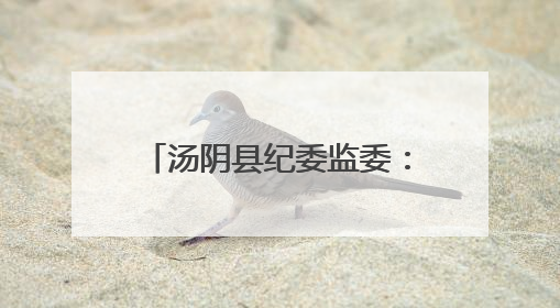 汤阴县纪委监委：拧紧纪律“发条” 护航“阳光中考”
