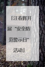 汪春辉开展“安全防范警示日”活动