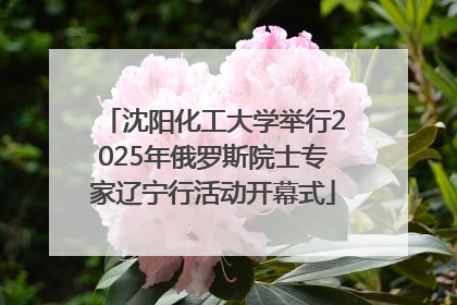 沈阳化工大学举行2025年俄罗斯院士专家辽宁行活动开幕式