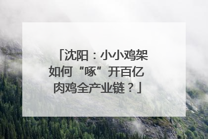 沈阳：小小鸡架如何“啄”开百亿肉鸡全产业链？