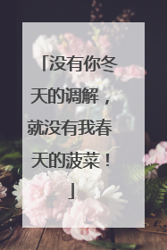 没有你冬天的调解，就没有我春天的菠菜！
