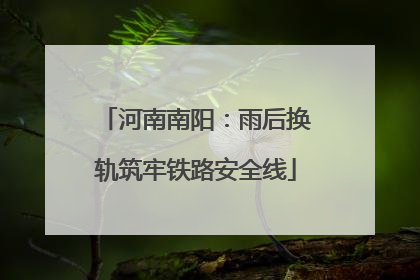 河南南阳：雨后换轨筑牢铁路安全线
