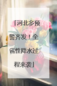 河北多预警齐发！全省性降水过程来袭