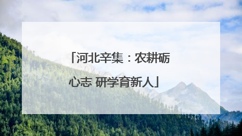 河北辛集：农耕砺心志 研学育新人