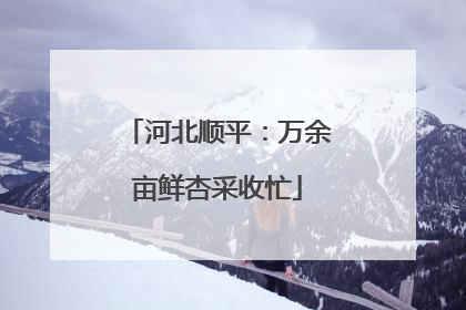 河北顺平：万余亩鲜杏采收忙