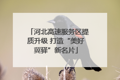 河北高速服务区提质升级 打造“美好冀驿”新名片