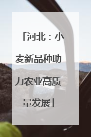 河北：小麦新品种助力农业高质量发展