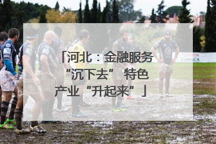 河北：金融服务“沉下去” 特色产业“升起来”