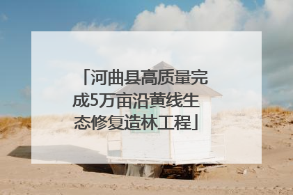 河曲县高质量完成5万亩沿黄线生态修复造林工程