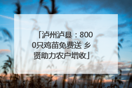 泸州泸县：8000只鸡苗免费送 乡贤助力农户增收
