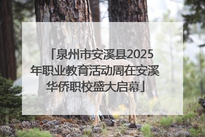 泉州市安溪县2025年职业教育活动周在安溪华侨职校盛大启幕