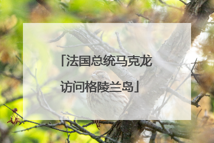 法国总统马克龙访问格陵兰岛