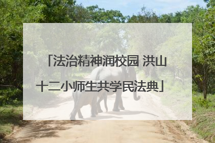 法治精神润校园 洪山十二小师生共学民法典