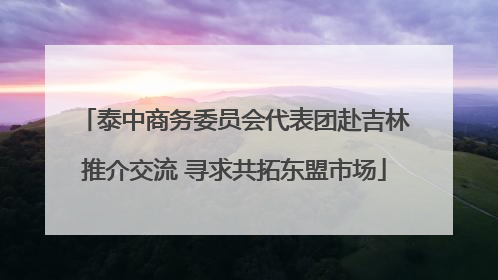 泰中商务委员会代表团赴吉林推介交流 寻求共拓东盟市场