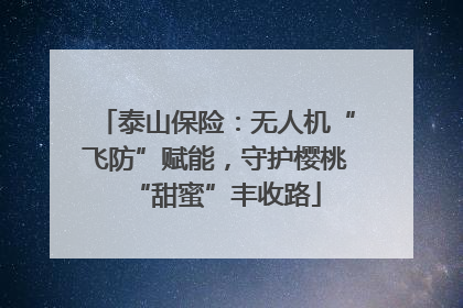 泰山保险：无人机“飞防”赋能，守护樱桃“甜蜜”丰收路