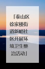 泰山区徐家楼街道新峪社区开展环境卫生整治活动
