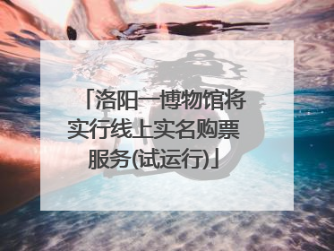 洛阳一博物馆将实行线上实名购票服务(试运行)