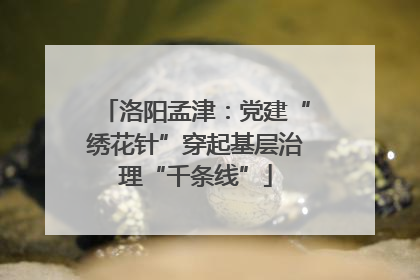 洛阳孟津：党建“绣花针”穿起基层治理“千条线”
