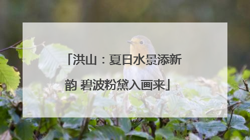 洪山：夏日水景添新韵 碧波粉黛入画来