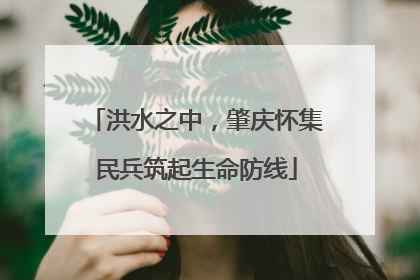 洪水之中，肇庆怀集民兵筑起生命防线
