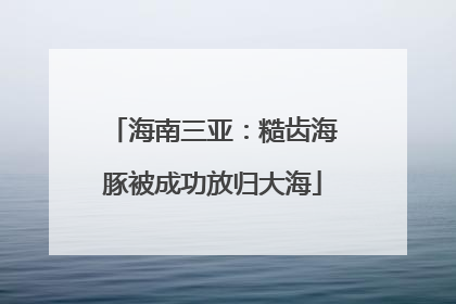 海南三亚：糙齿海豚被成功放归大海