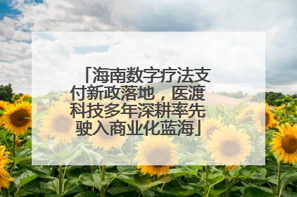 海南数字疗法支付新政落地，医渡科技多年深耕率先驶入商业化蓝海