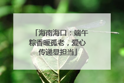 海南海口：端午粽香暖孤老，爱心传递显担当