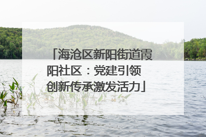海沧区新阳街道霞阳社区：党建引领 创新传承激发活力