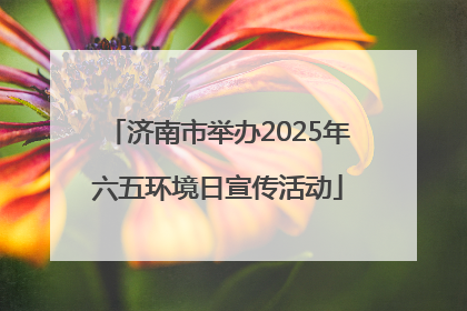济南市举办2025年六五环境日宣传活动