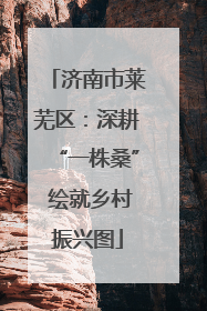 济南市莱芜区：深耕“一株桑” 绘就乡村振兴图