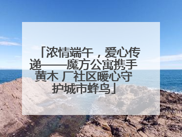 浓情端午，爱心传递——魔方公寓携手黄木 厂社区暖心守护城市蜂鸟