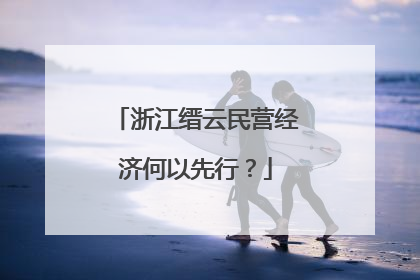 浙江缙云民营经济何以先行？
