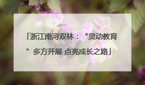 浙江南浔双林：“灵动教育”多方开展 点亮成长之路