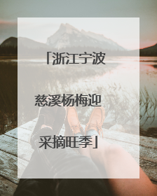 浙江宁波慈溪杨梅迎采摘旺季