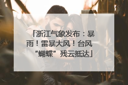 浙江气象发布：暴雨！雷暴大风！台风“蝴蝶”残云抵达