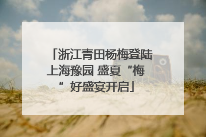 浙江青田杨梅登陆上海豫园 盛夏“梅”好盛宴开启