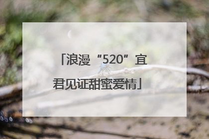 浪漫“520”宜君见证甜蜜爱情