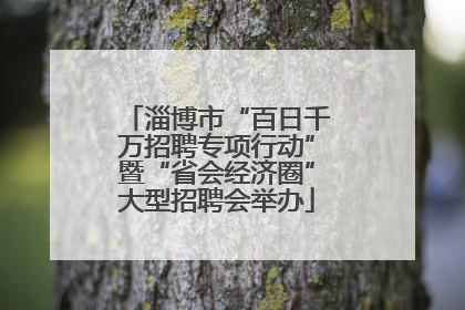 淄博市“百日千万招聘专项行动”暨“省会经济圈”大型招聘会举办