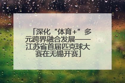 深化“体育+”多元跨界融合发展——江苏省首届匹克球大赛在无锡开赛
