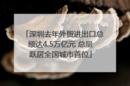 深圳去年外贸进出口总额达4.5万亿元 总量跃居全国城市首位
