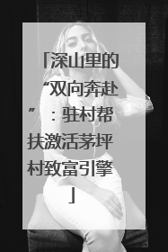 深山里的“双向奔赴”：驻村帮扶激活茅坪村致富引擎