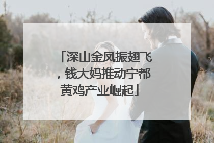 深山金凤振翅飞，钱大妈推动宁都黄鸡产业崛起
