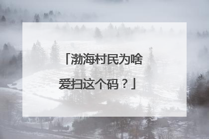 渤海村民为啥爱扫这个码？